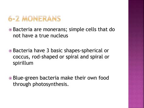 how are monerans similar to and different from viruses